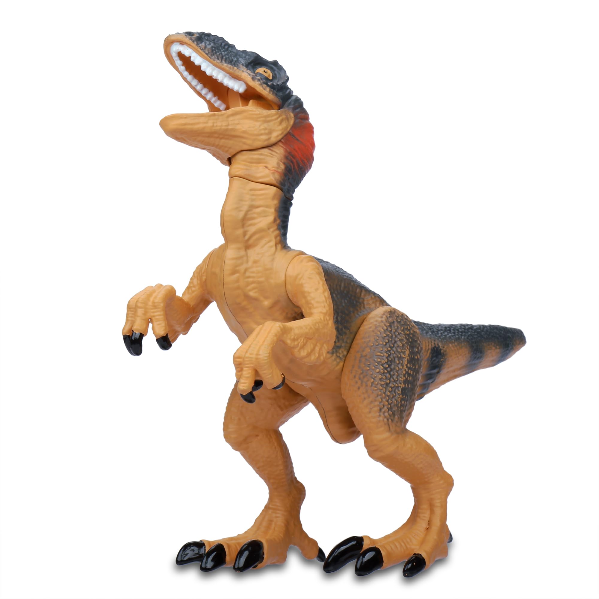 Kid Galaxy: Dinosaur Attack Figures 4pk - T Rex, Carnotaurus, Velociraptor, Dimetrodon - 7