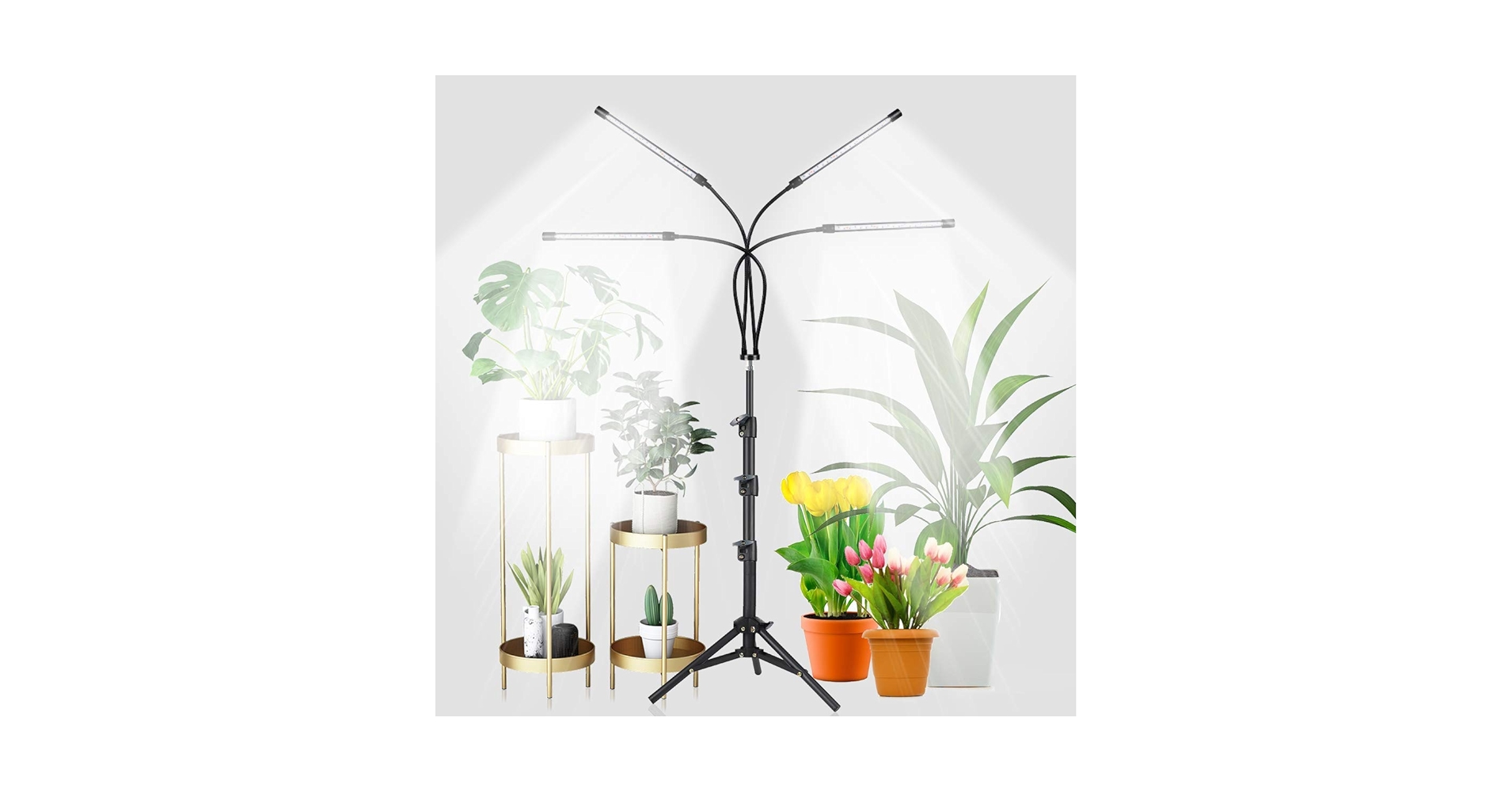 Grow ロングボード Smart Standard Growframe | Wall-Mountable Metal Fixture | 17” x