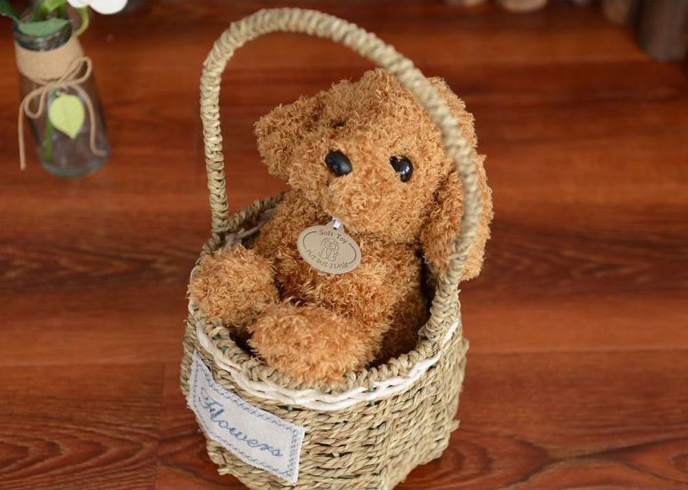 ドイツアンティーク　可愛いつぶらな瞳のワンちゃんぬいぐるみ犬 Amazon.co.jp: つぶらな瞳のトイプードルぬいぐるみ (トイ