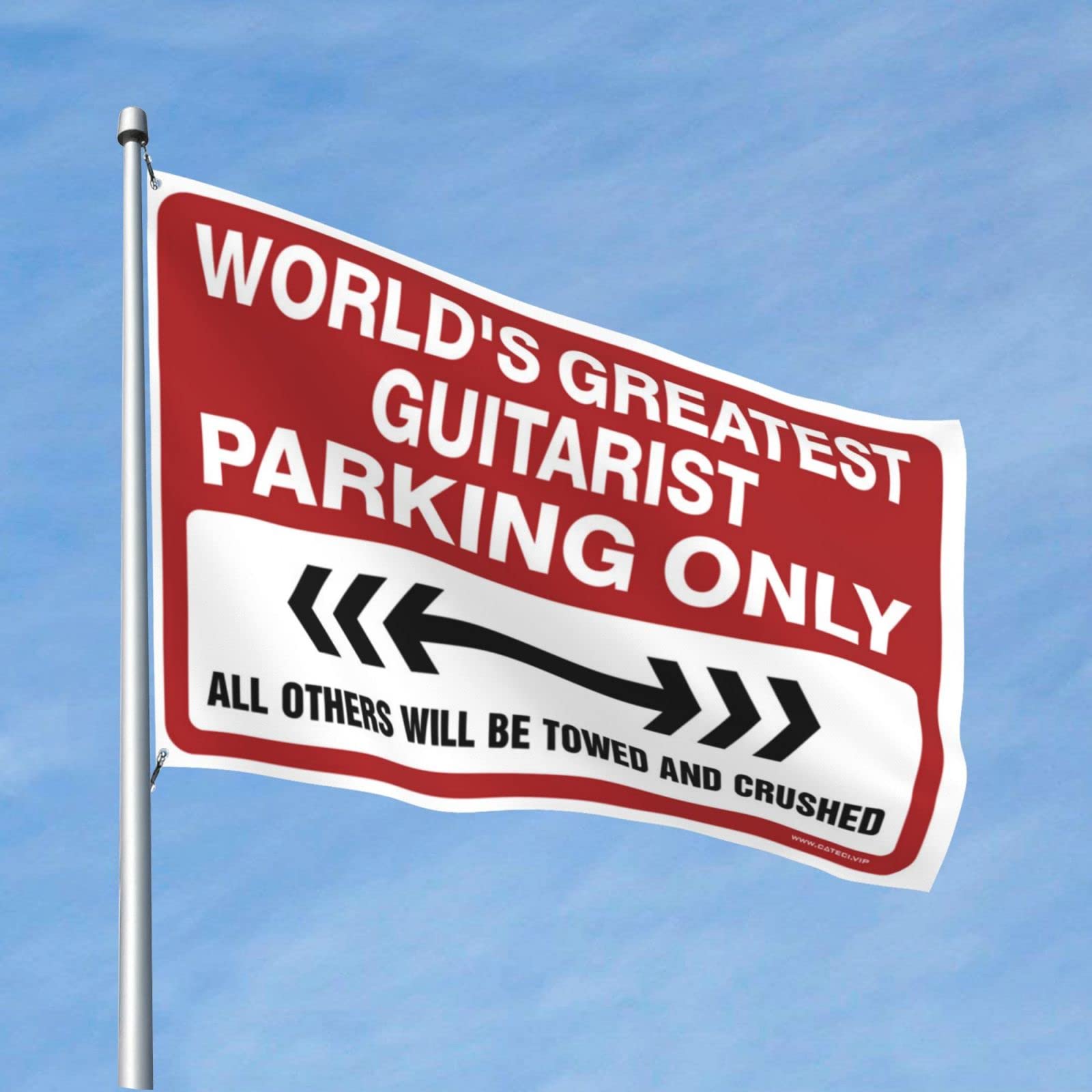 Drapeaux pour les décorations extérieures Guitarist Parking Only 152x244 cm