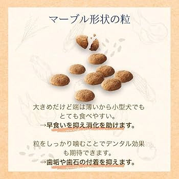 Amazon.co.jp: ファーストチョイス ChoiceS（チョイスエス