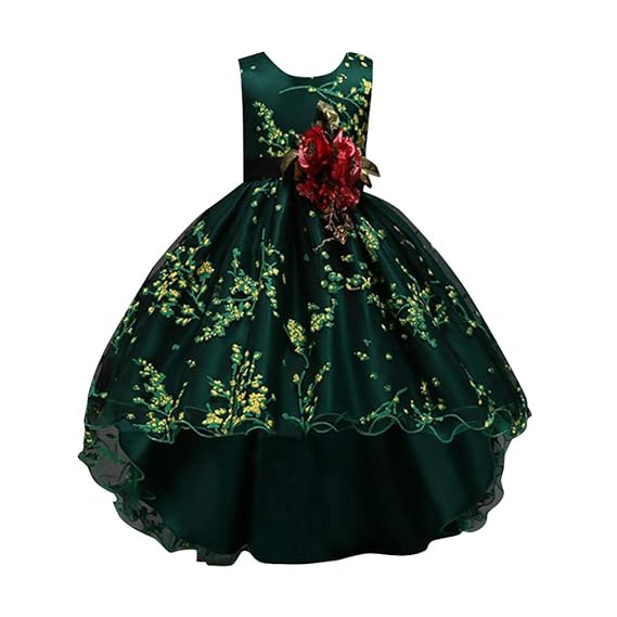 Hopscotch Sleeveless Floral Applique Party Dress for Girls