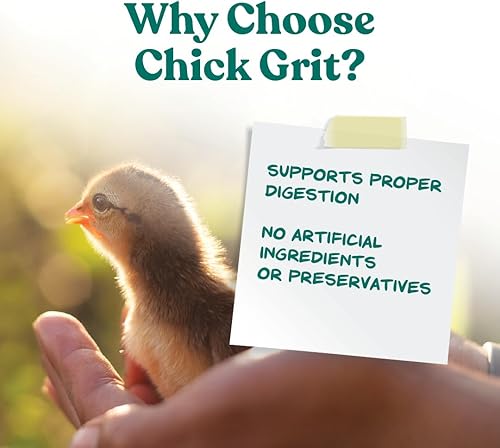 Miniatura 3 de Manna Pro Chick Grit