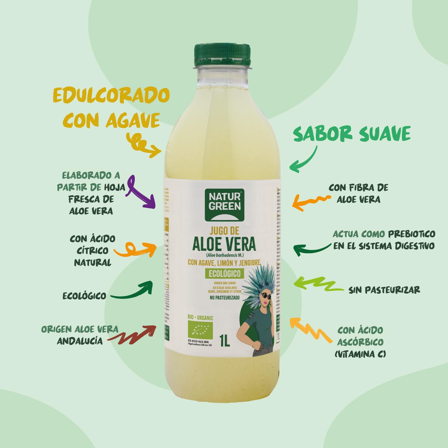 NaturGreen - Jugo de Aloe Vera Bio con Agave, Jengibre y Limón, 12 unidades x 1 Litro, No Pasteurizado, con Fibra de Hoja Fresca, Digestivo, Natural y Ecológico, Bajo en Azúcar