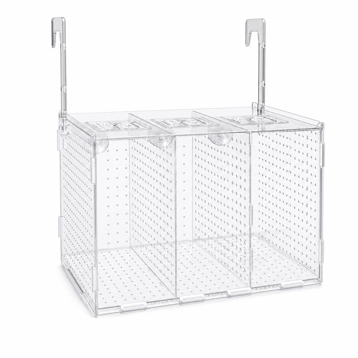 Caja Cría Peces, Separador, 40x20x30cm | ción con ventosa, para cría, aislamiento y separación, ial peces jóvenes, para Tienda