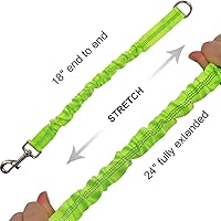 Vista 5 de BTINESFUL Cuerda de amarre para perro de 30 pies + extensión de correa elástica para perro