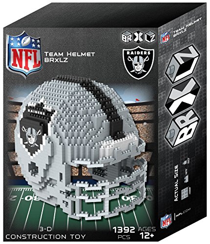 Oakland Raiders NFL 3D BRXLZ 