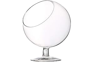 Marimo Moss Ball Terrarium: A Verdant Oasis in Your Home