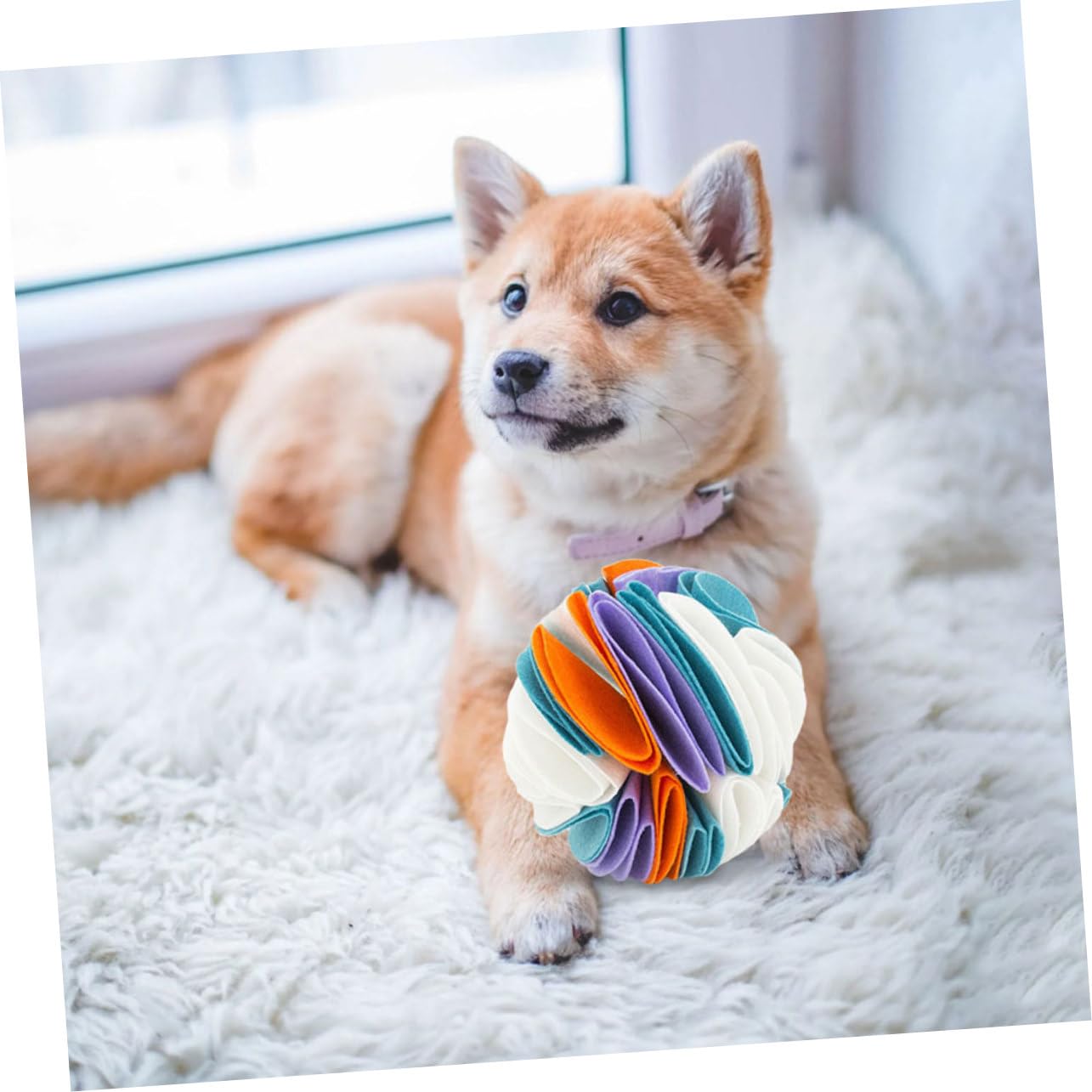 SUPVOX 2 Piezas De Pelota para Olfatear Perros Juguetes Chirriantes para Perros Juguetes De Entrenamiento para Olfatear Almohadilla De Alimentación para Juguete para