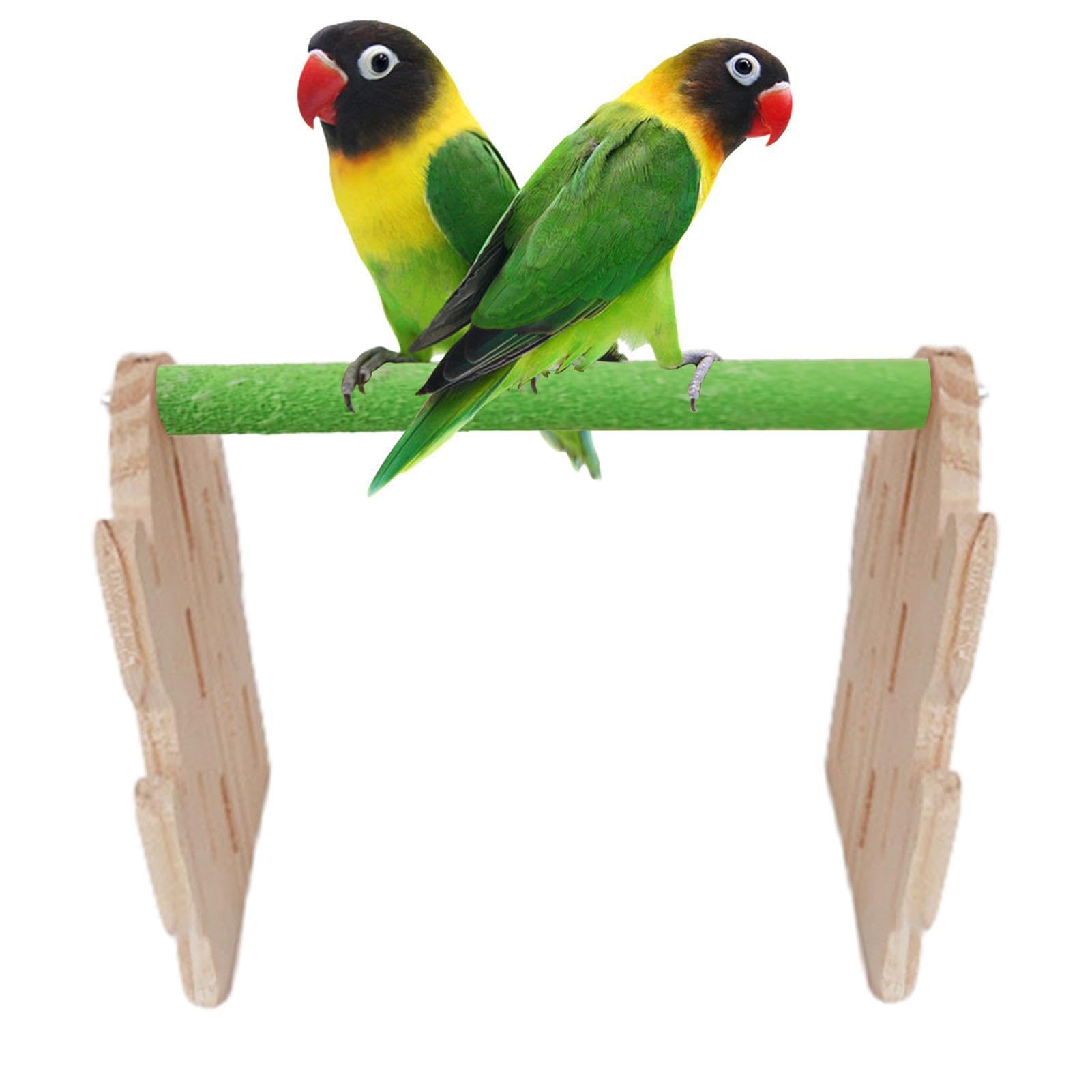 Amazon | オウム用バードスタンド,オウムスタンド - 鳥スタンド鳥用