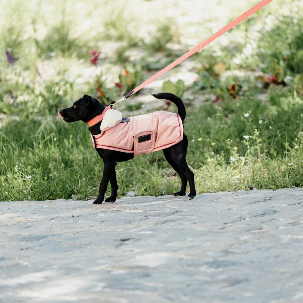 Kentucky - Hundemantel - Wasserdicht Koralle - XS - 28-33cm