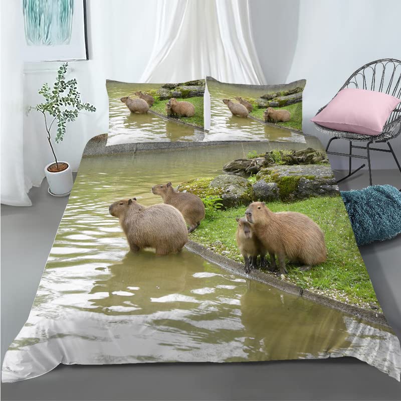Housse de Couette 220x240 Animaux Capybaras Parure de Lit Doux