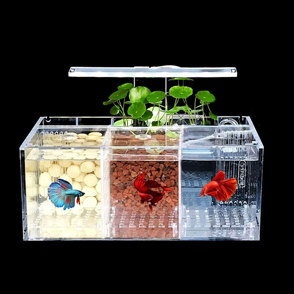 Tank di Pesce Betta Acrilico HD, Scrivania da Ufficio Acquario di Vetro Biologico, Moderno Serbatoio di Pesce Acquaponico Trasparente, Light E Filtro Rettangolare,3 Rooms