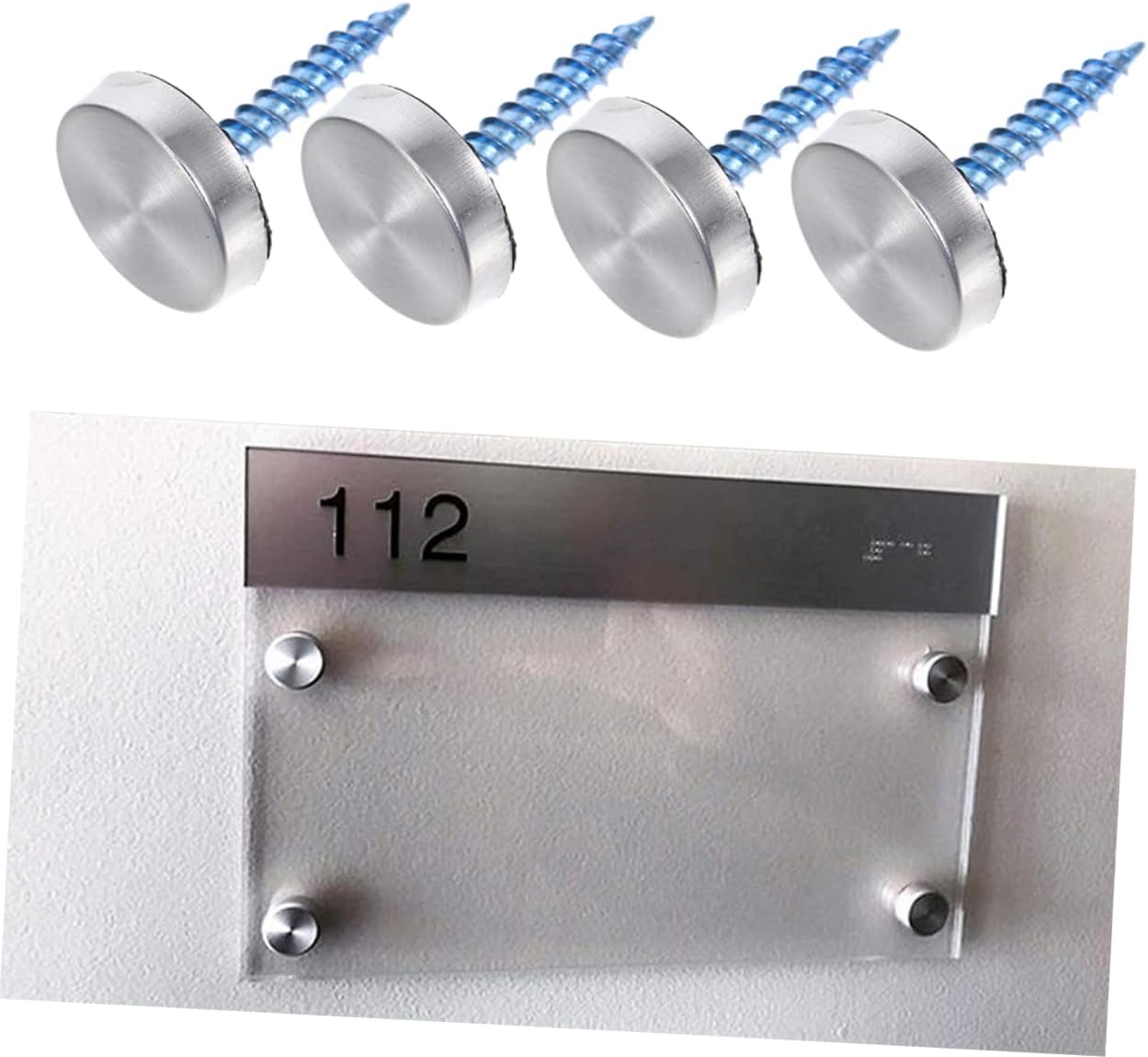 Stainless Steel Mirror Screws Decorative Caps for Panels