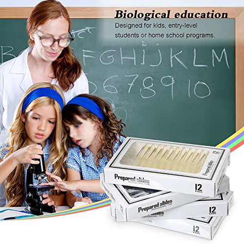Diapositives microscope enfants plastique pour programme science - 6
