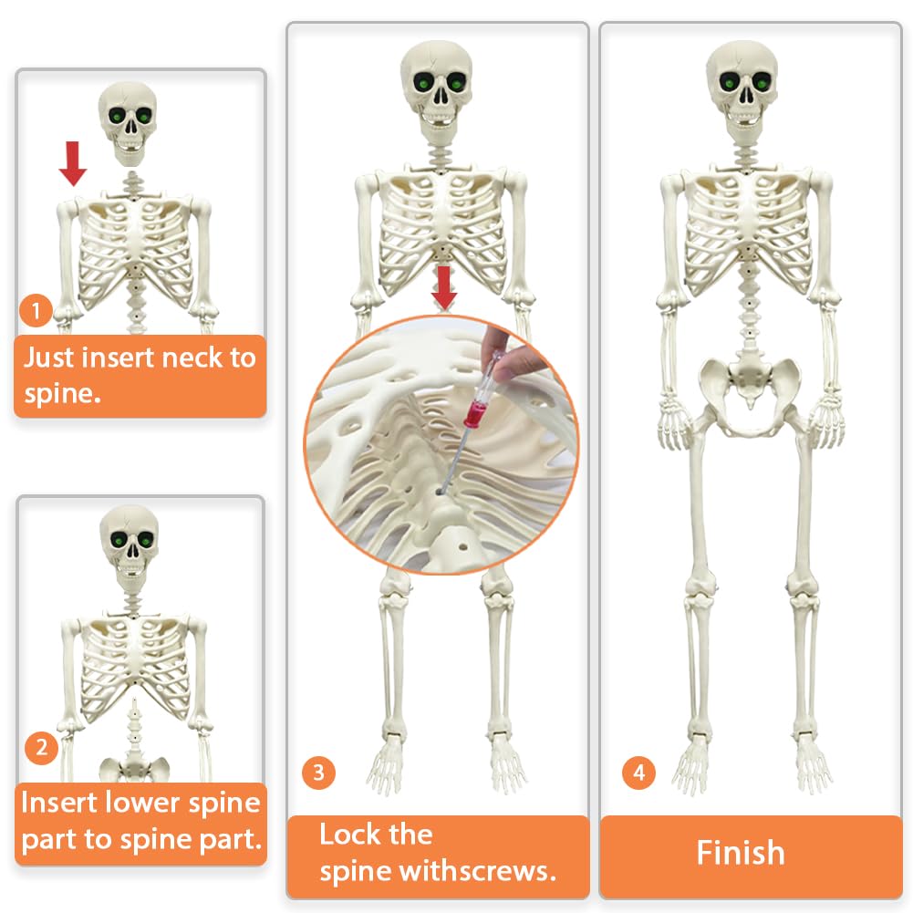 Esqueleto de Halloween de 165 cm, esqueleto de cuerpo completo con capa negra, huesos humanos de tamaño real para Halloween, patio delantero, patio, césped, jardín, accesorios de decoración de fiesta