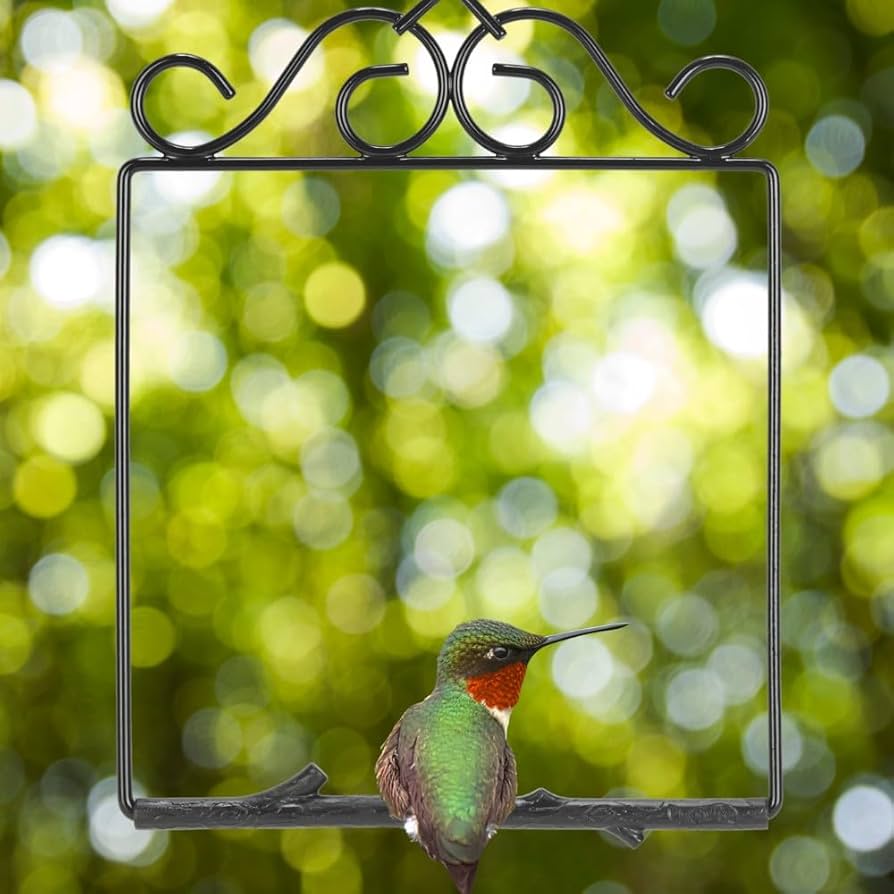 Amazon.com : Pop's Birding Hummingbird Swing, USA Made