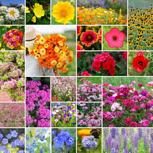 Eden Brothers Heirloom Flower Mixed Seeds for Planting, 1 lb, 480,000+ Seeds with Zinnia, Toadflax, Evening Primrose | Attracts Pollinators, Plant in Spring or Fall, Zones 3, 4, 5, 6, 7, 8, 9, 10