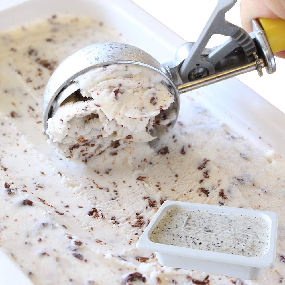 北国からの贈り物 アイスクリーム 業務用 チョコチップ 北海道 くりーむ童話 手づくり アイス