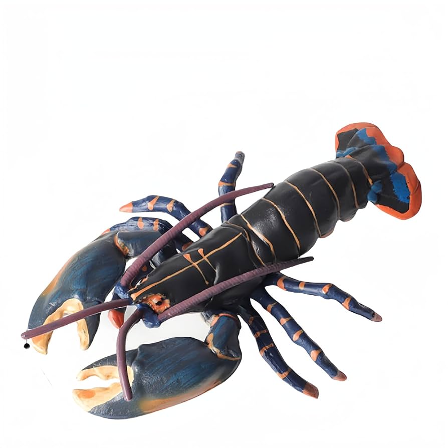 Amazon | MAIBED イセエビ フィギュア 伊勢海老 軟甲綱 海洋動物