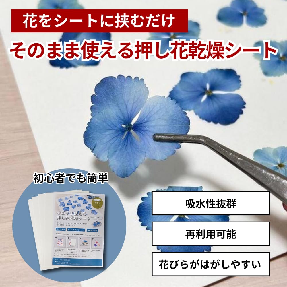Amazon | そのまま使える押し花乾燥シート B5サイズ 20枚入 吸水性の