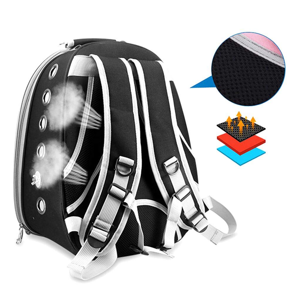 Mochila de transporte para loro, cápsula de espacio transparente