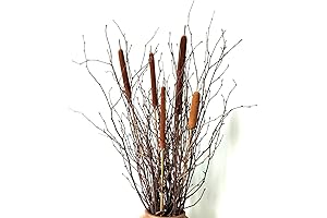 Natural Birch Branches Centerpieces with Cattail Plant