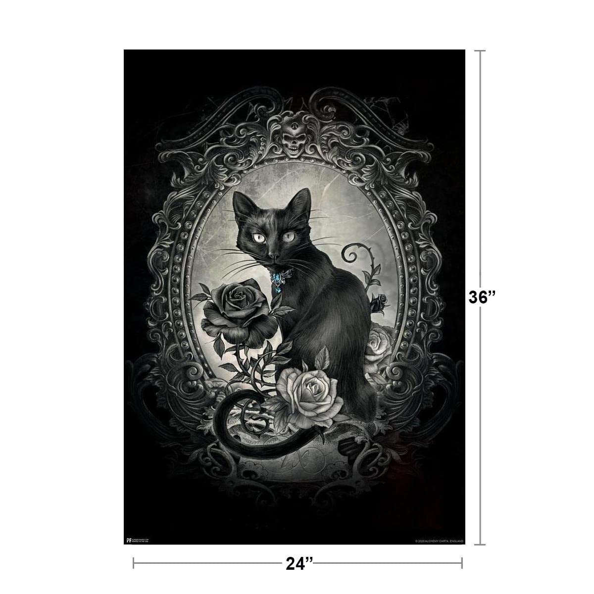 希少耽美系Goth、Black l CD 詰め合わせ Amazon.com: Alchemy Paracelsus Black Cat Gothic Goth Room Decor