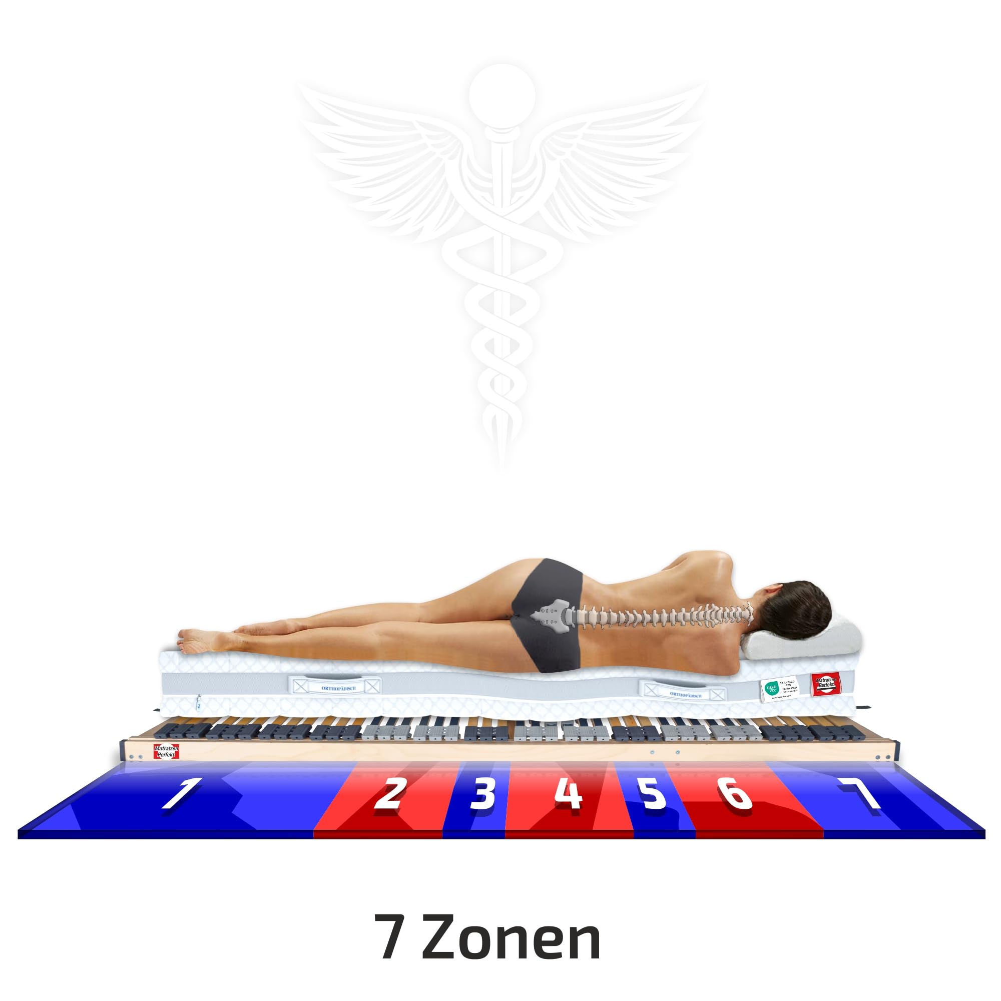 Matratzen Perfekt 7-Zonen Lattenrost 120x200cm Verstellbar 8,5 cm Hoch | Kopf- und Fußteil höhenverstellbar fertig montiert 42 Leisten Schichtholz Made in Germany belastbar 200 kg