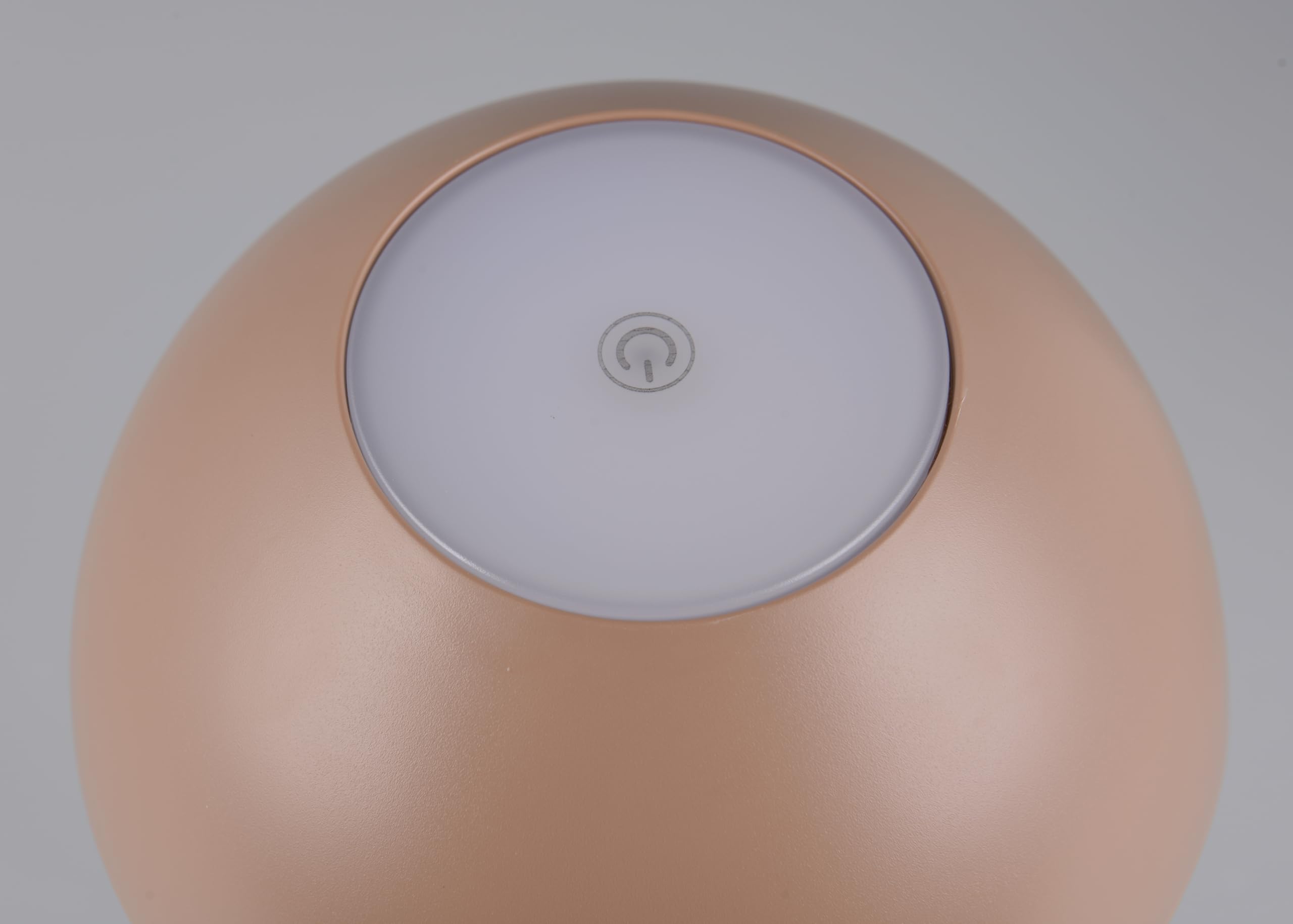 Reality Leuchten Ricardo R54106165 - Lampada da tavolo a LED per esterni, in plastica, con LED da 1,7 Watt, 4 ingressi touch