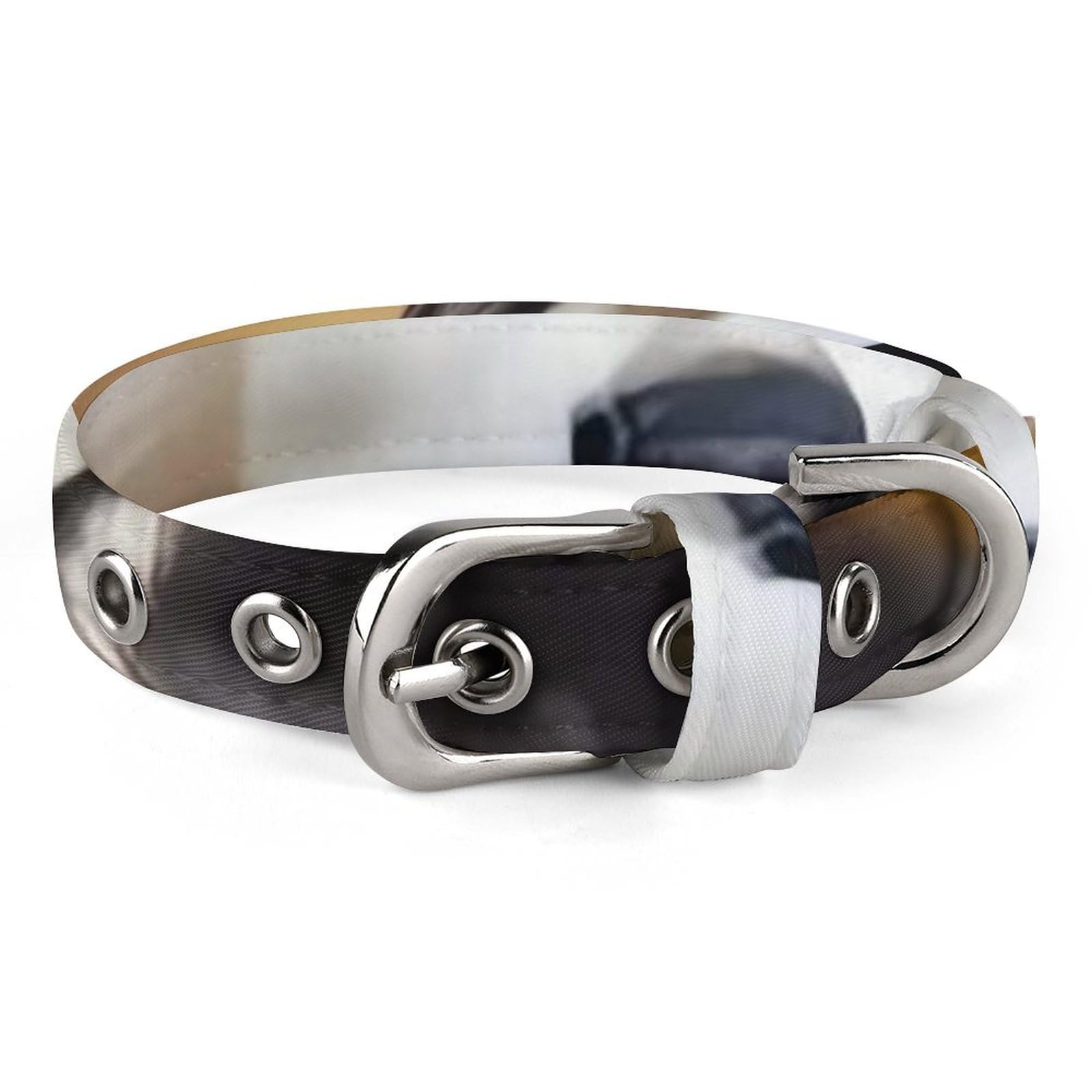 Collier pour chien mignon Huskys réglable pour balades au parc