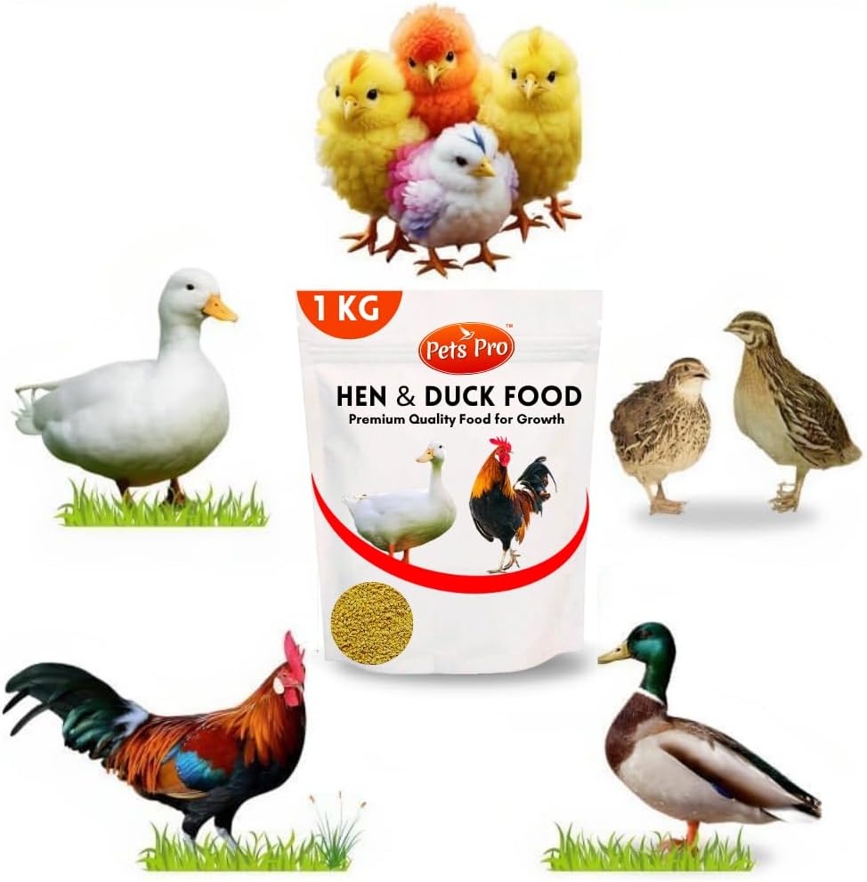 Pets Pro Food for Hen Duck Chicks Teetar Batair Feed 1Kg Teetar Batair Premium Bird Food Grower Baby Chicken, Chicks, Pellet Feed (Hen, Duck, BATER, EMU) (Feed 1 KG)