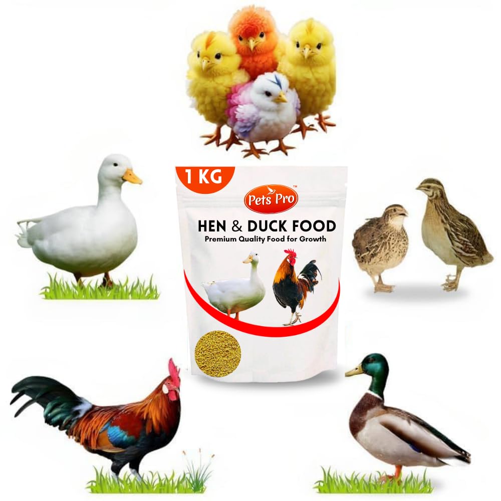 Pets Pro Food for Hen Duck Chicks Teetar Batair Feed 1Kg Teetar Batair Premium Bird Food Grower Baby Chicken, Chicks, Pellet Feed (Hen, Duck, BATER, EMU) (Feed 1 KG)-image-11