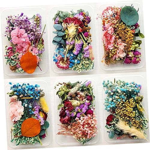 Flores secas reales decorativas aromáticas en caja x3 miniatura 3