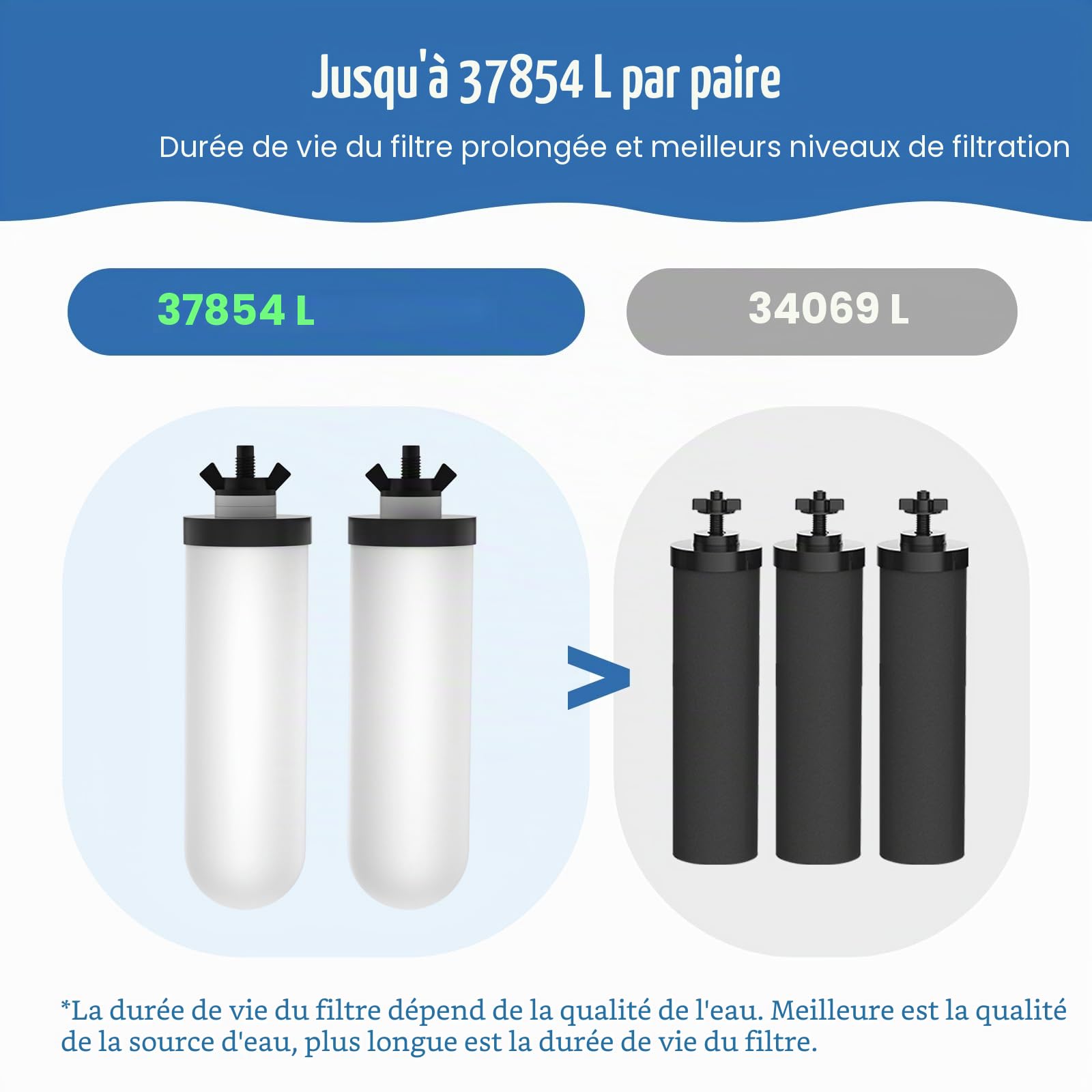 Lot de 2 Cartouches de Rechange en Céramique pour Système de Filtration d'Eau par Gravité