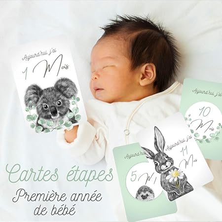 12 Cartes Etapes La Premiere Annee De Bebe Theme Dessin Animaux Bleu Vert Amazon Fr Bebe Et Puericulture