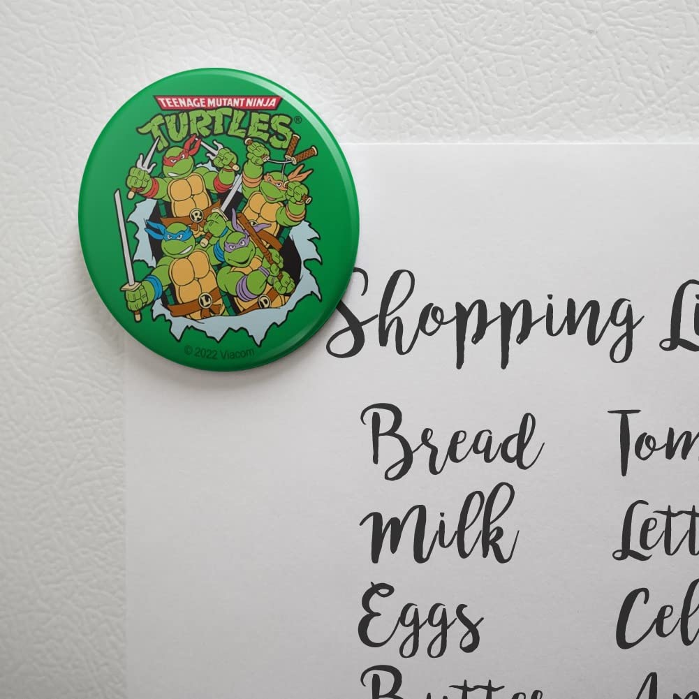 Teenage Mutant Ninja Turtles Magnet TMNT Heroes In A Half-Shell