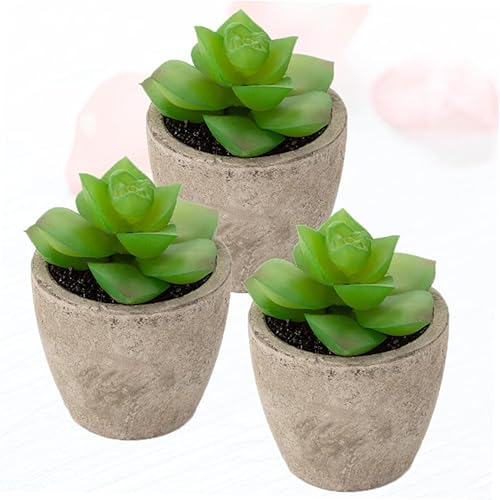 Miniatura 8 de ARTIBETTER Planta de cactus sintético, 3 piezas, adorno para suculentas, decoración de plantas suculentas, combinación de suculentas, decoración de