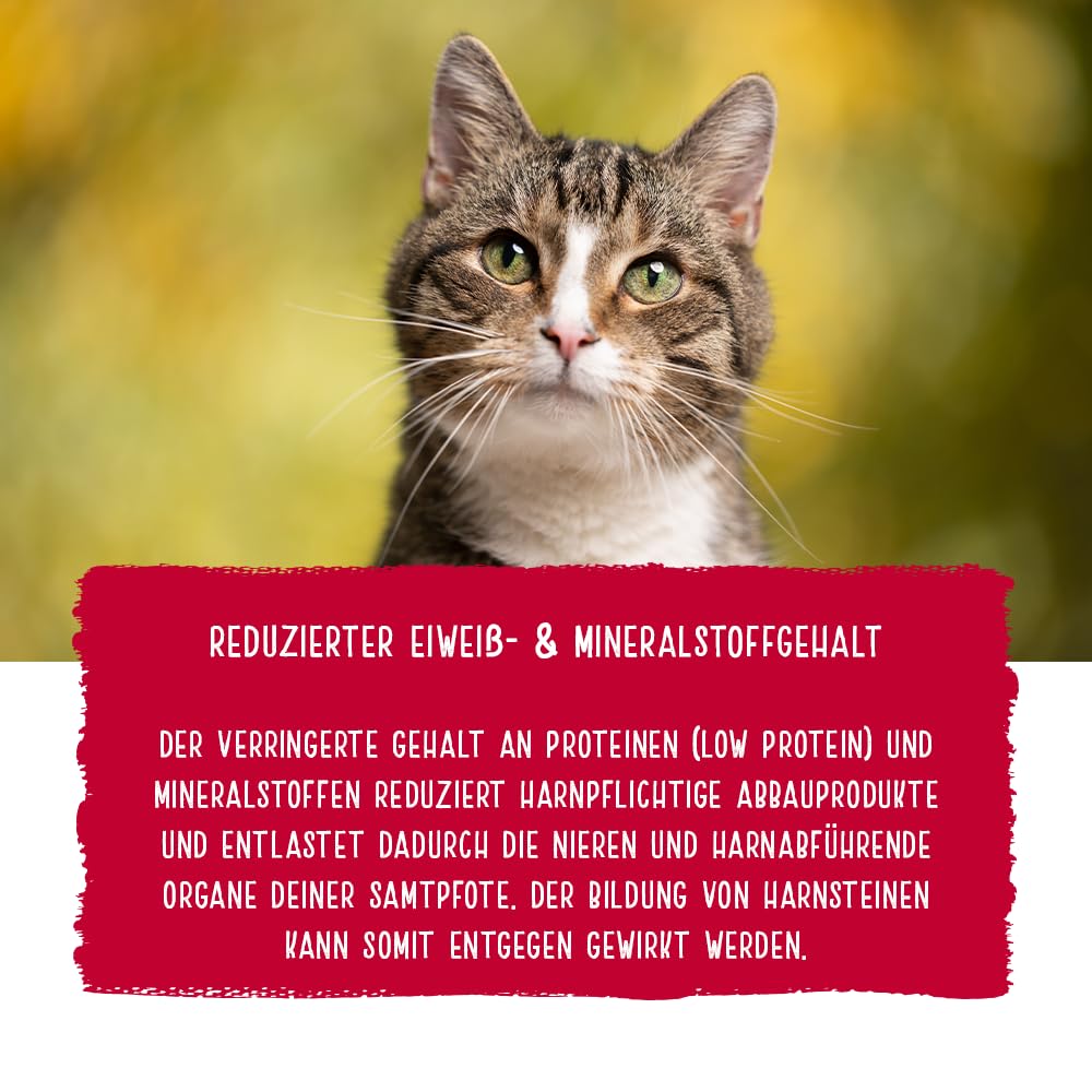 Chicopee Holistic Nature Line | Adult Urinary | Katzenfutter trocken | Geflügel & Leber | Unterstützt Harnwege | ohne glutenhaltiges Getreide | Inspiriert von der Natur Kanadas | 8 kg