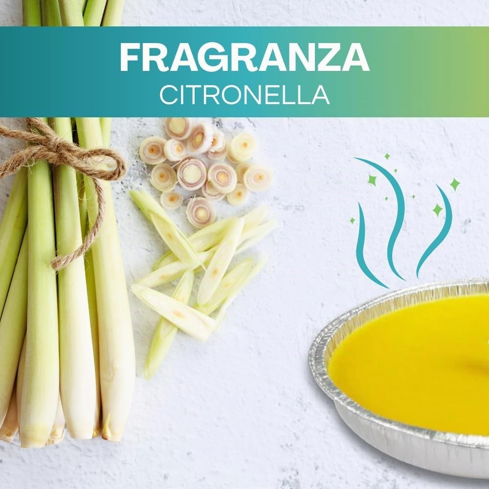 Virsus Candele citronella Giardino citronella Alluminio 14 cm Set da 36 Pezzi Giardinaggio antizanzare Feste ed Eventi