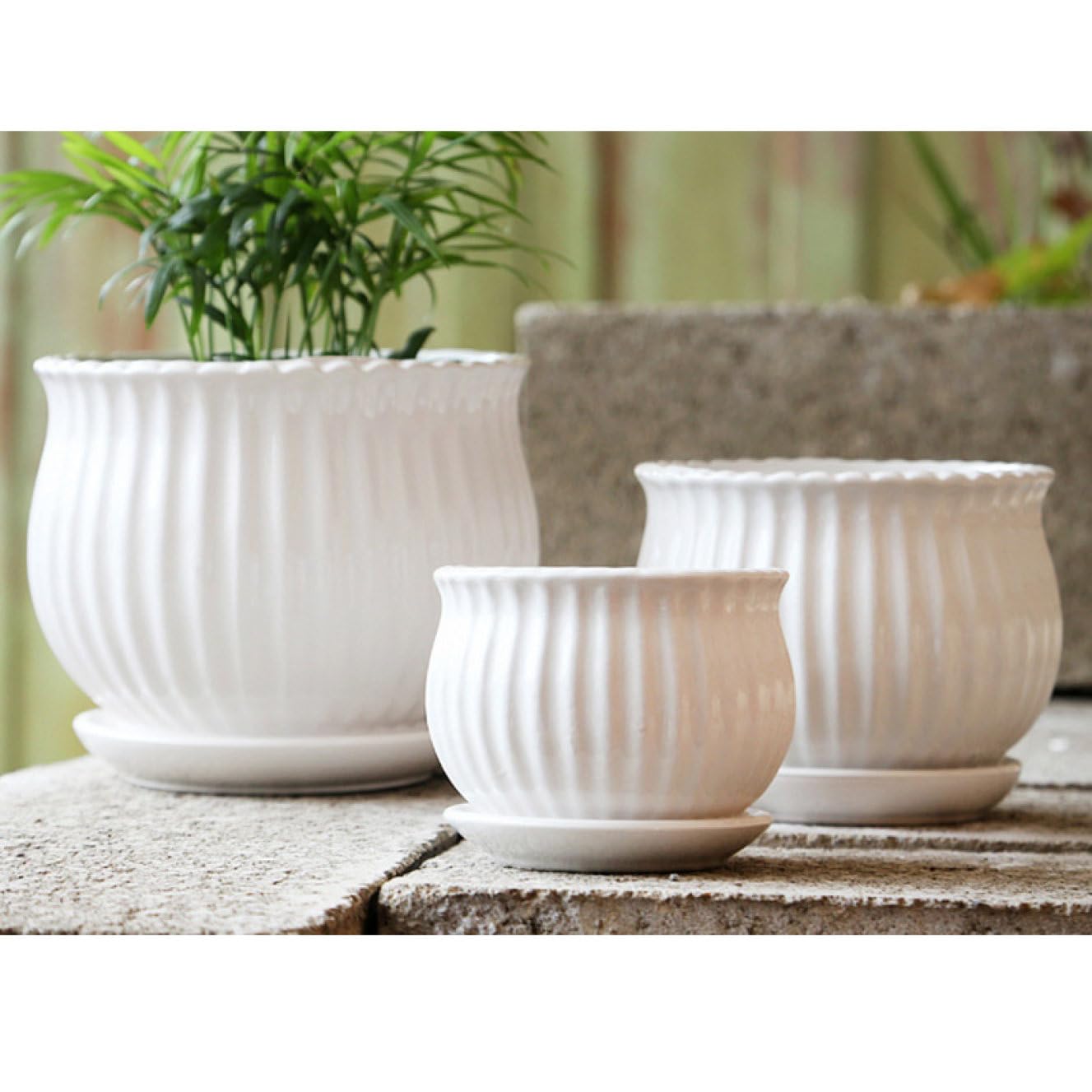 Amazon.co.jp: [ムリョ] 植木鉢 陶器鉢 大型 9号 受け皿付き 穴