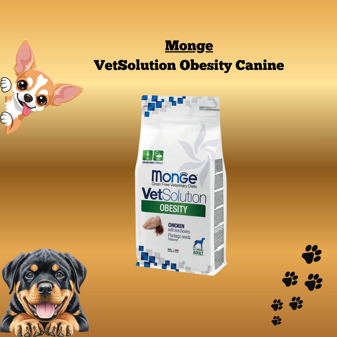 MONGE Cane VetSolution Obesity Canine gusto Pollo con Acciughe | alimento secco completo e dietetico per cani formulato per la riduzione dell’eccesso di peso, Made in Italy, 1 confezione da 2kg.