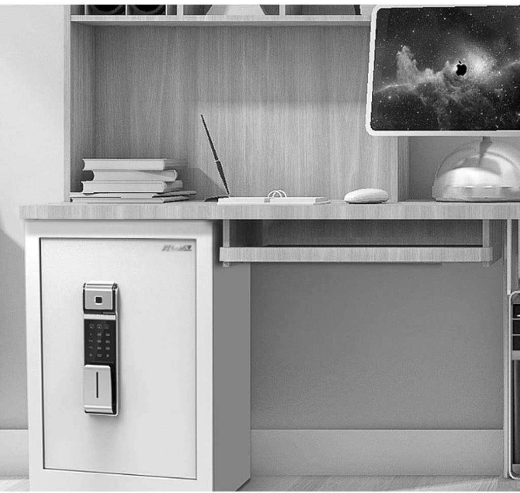 CLSDRZC Feuerfeste, wasserdichte Sicherheitsfernbedienung, autorisiert für Zuhause und Büro mit elektronischem Zahlenschloss, Fingerabdruckschrank für Wertsachen und Dokumente für