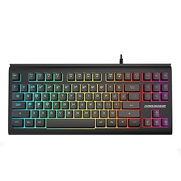 Rainbow LED Backlit 87 Keys Gaming Keyboard, Compact Keyboard with Anti-ghosting USB Wired Keyboard for PC Gamers Office