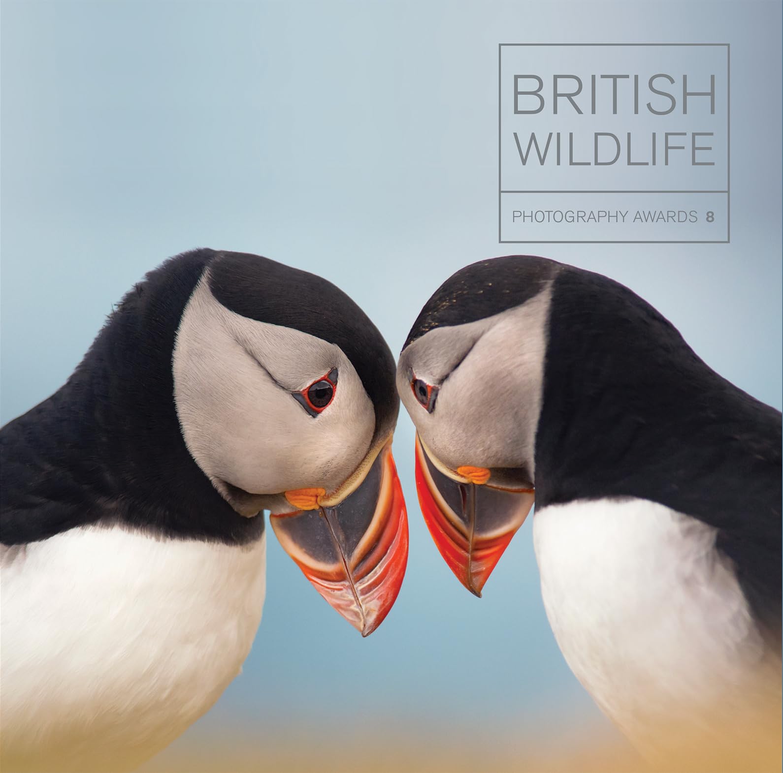 British Wildlife Photography Awards 8 by Maggie Gowan - 9781781453193