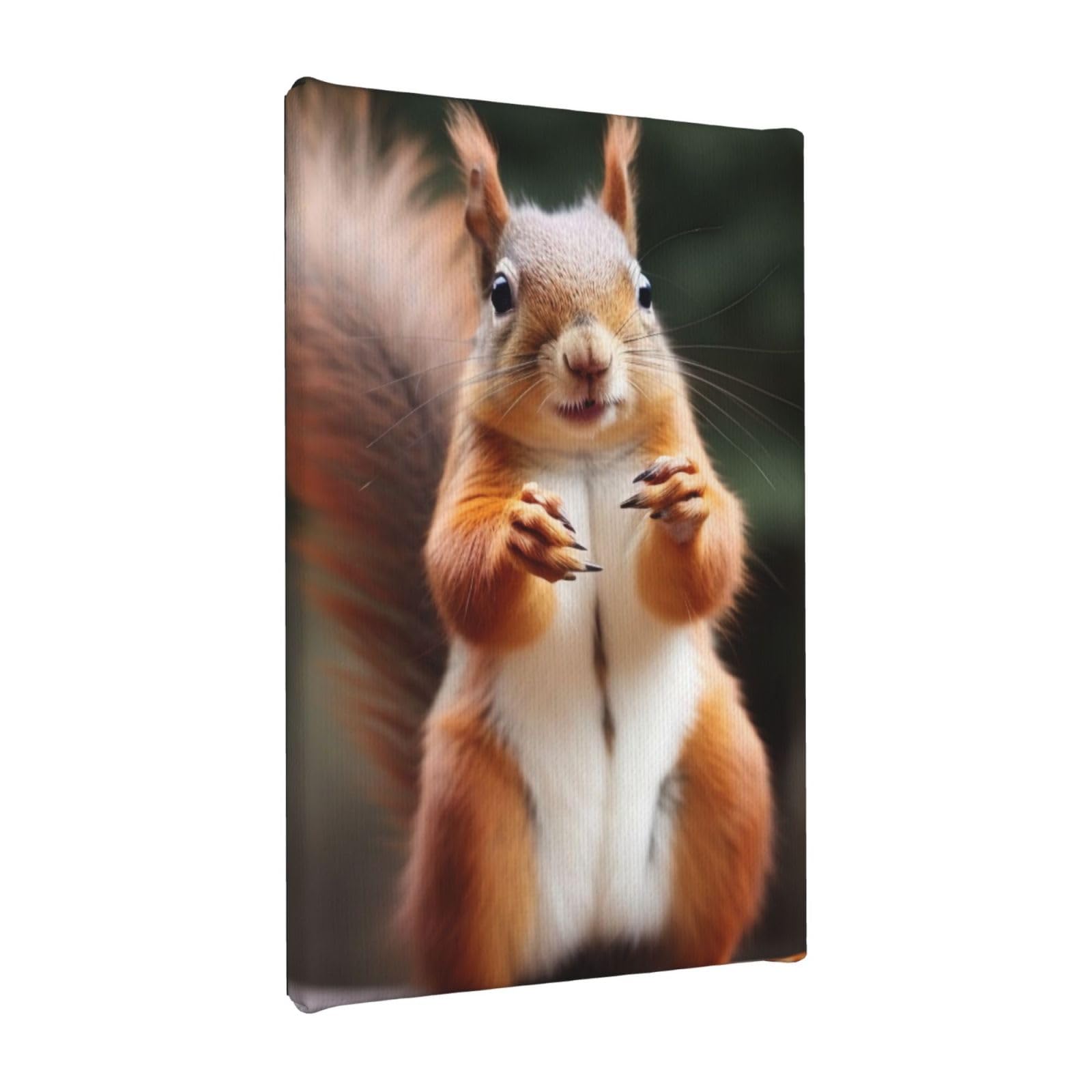 YKLJG Squirrel Funny Animal Printed Wall Art Canvas Painting 20x30 CM Wooden Framed Picture Painting Artwork Prints for Bedroom Kitchen Home Office Decor