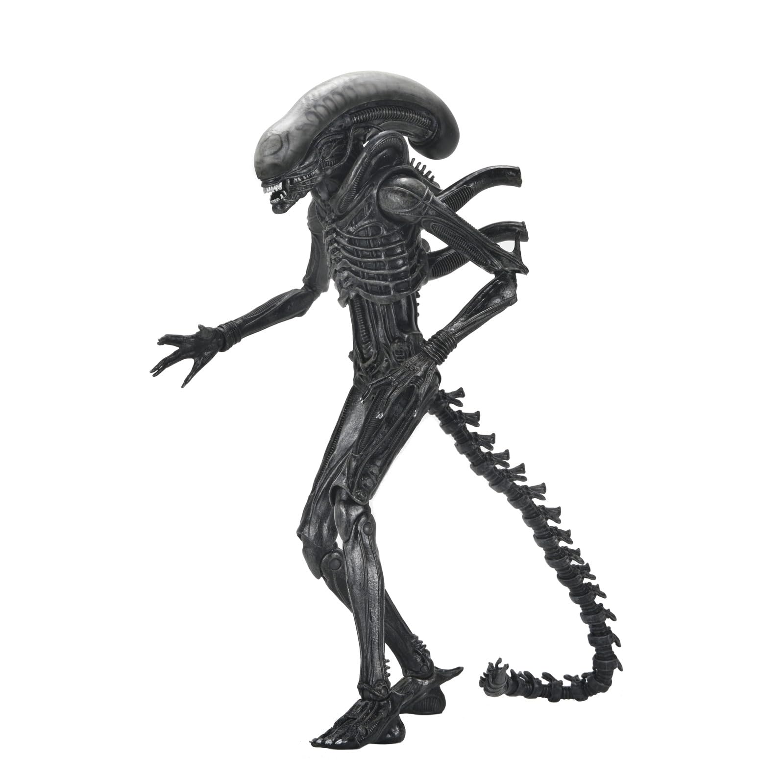 Alien: Romulus - Ultimate Xenomorph XX121 7