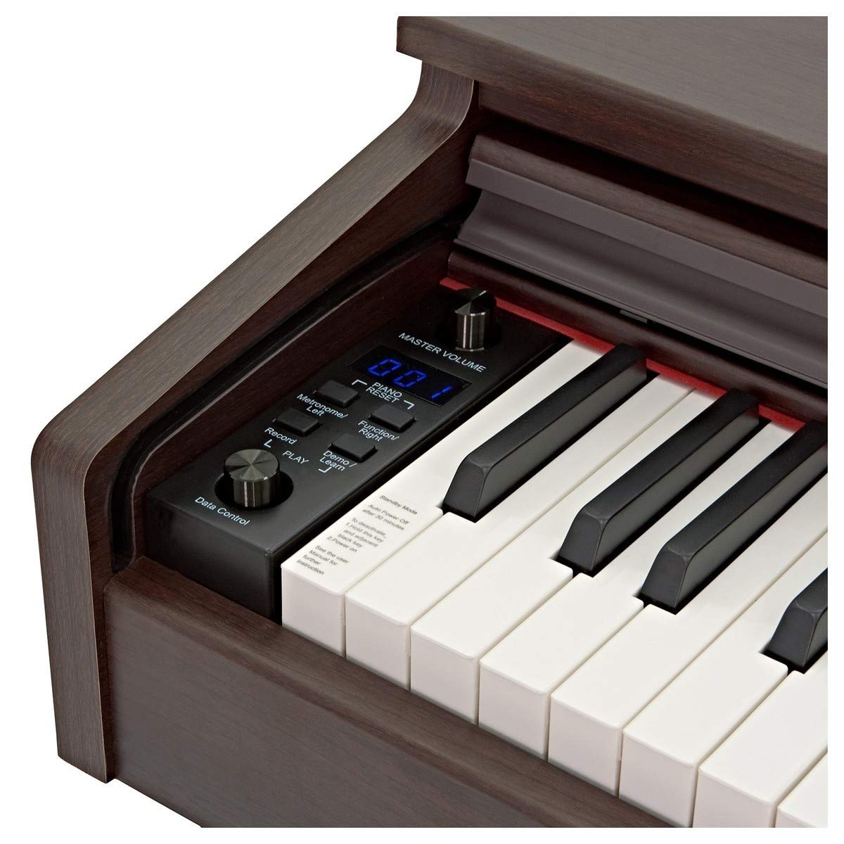 DP-10X Pianoforte Digitale di Gear4music + Accessori, Palissandro Scuro | 88 Tasti ad Azione Martelletto per un Jeu Espressivo, Registrazione USB e Memoria Interna, Metronomo e Modalità Apprendimento