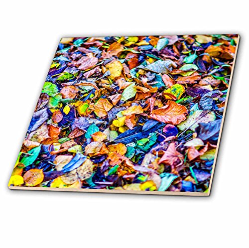 3dRose Colorful Fallen Leaves On The Ground. Autumn Season Tile, 12 x 12