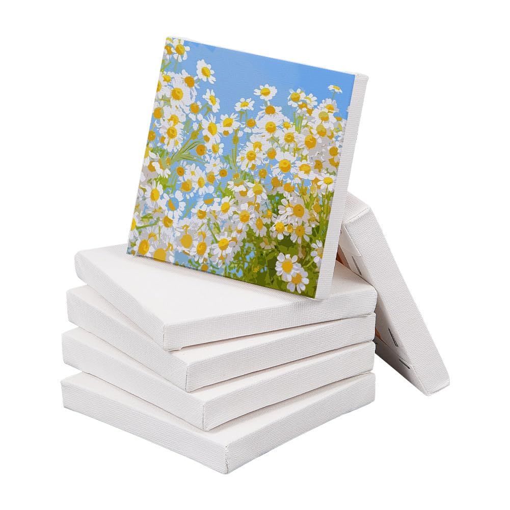 NBEADS 6 Pcs 10x10cm Mini Canvas Panel Painting Craft Tiny Wooden Sketchpad Drawing Board for Painting Craft Drawing Decoration Gift and Kids'Learning Education